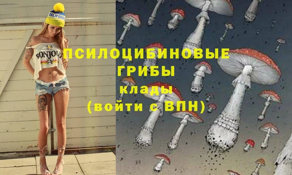 spice Белоозёрский